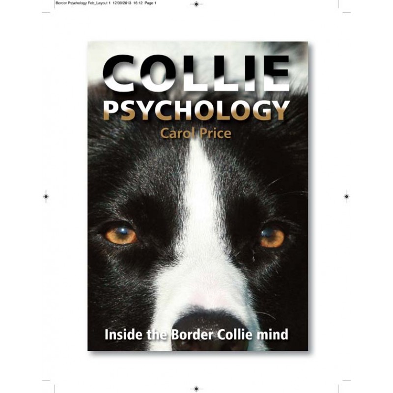 Collie Psychology