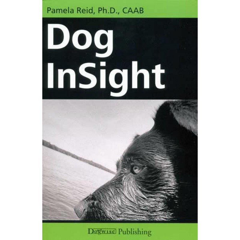 Dog Insight