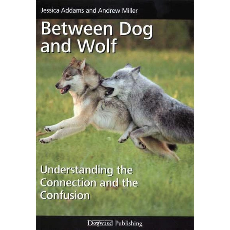 between dog and wolf