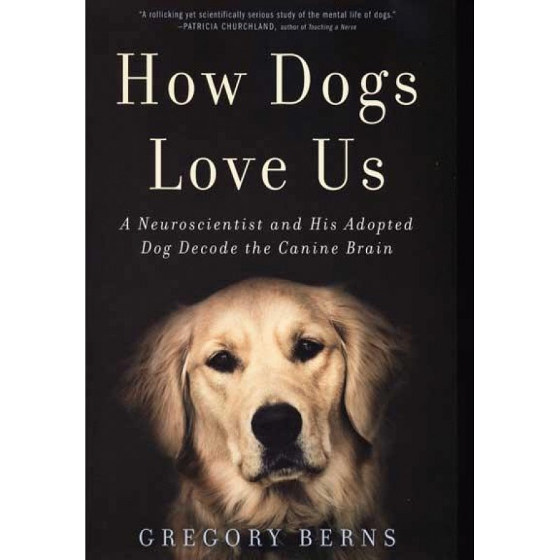 how dogs love us