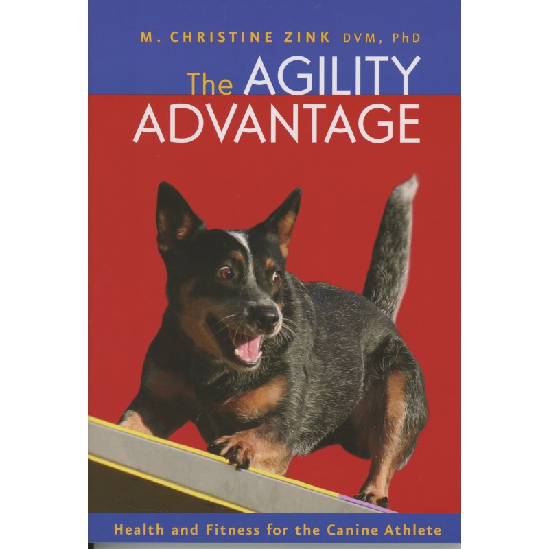 agility advantage