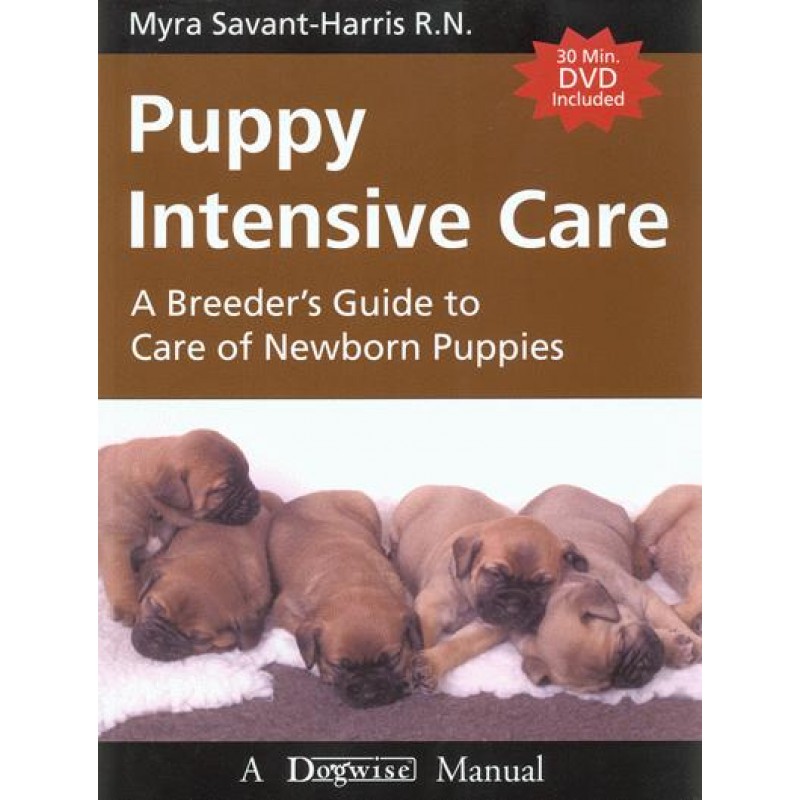 Puppy Intensive Care