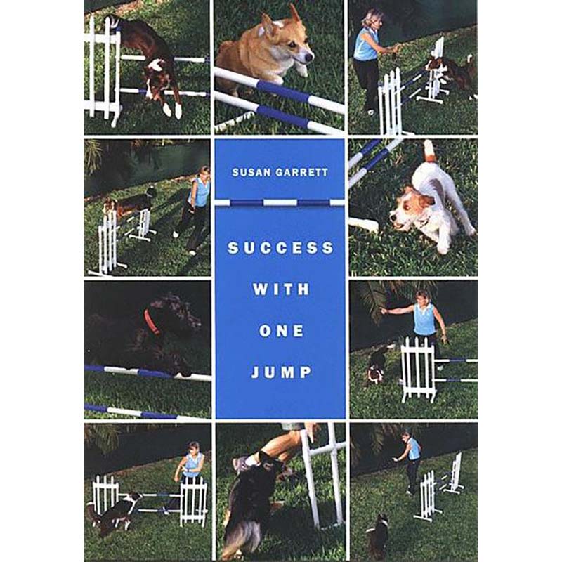 Success With One Jump DVD