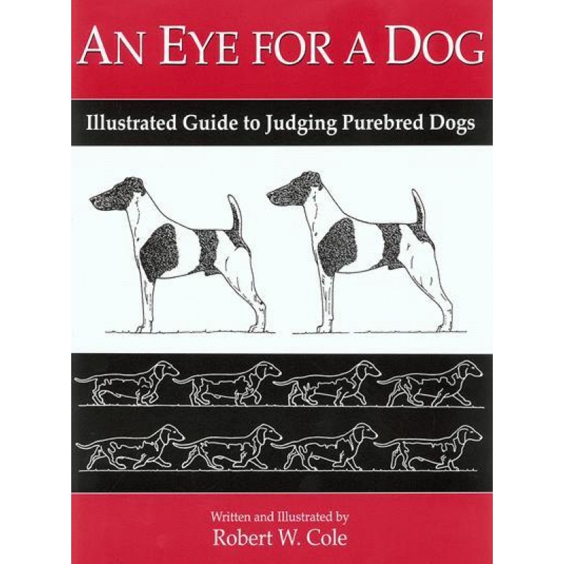 An eye for a dog