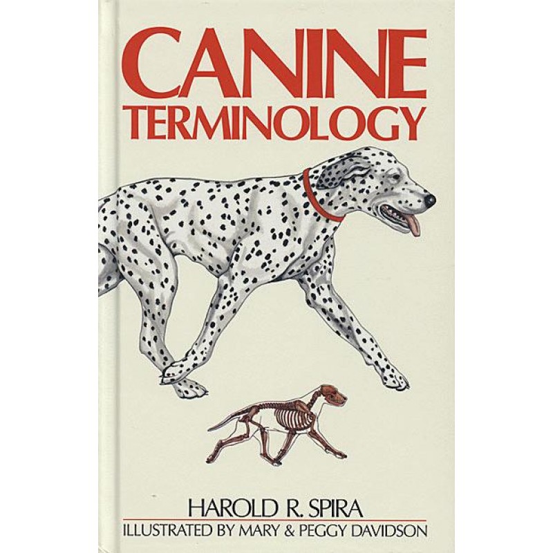 Canine Terminology