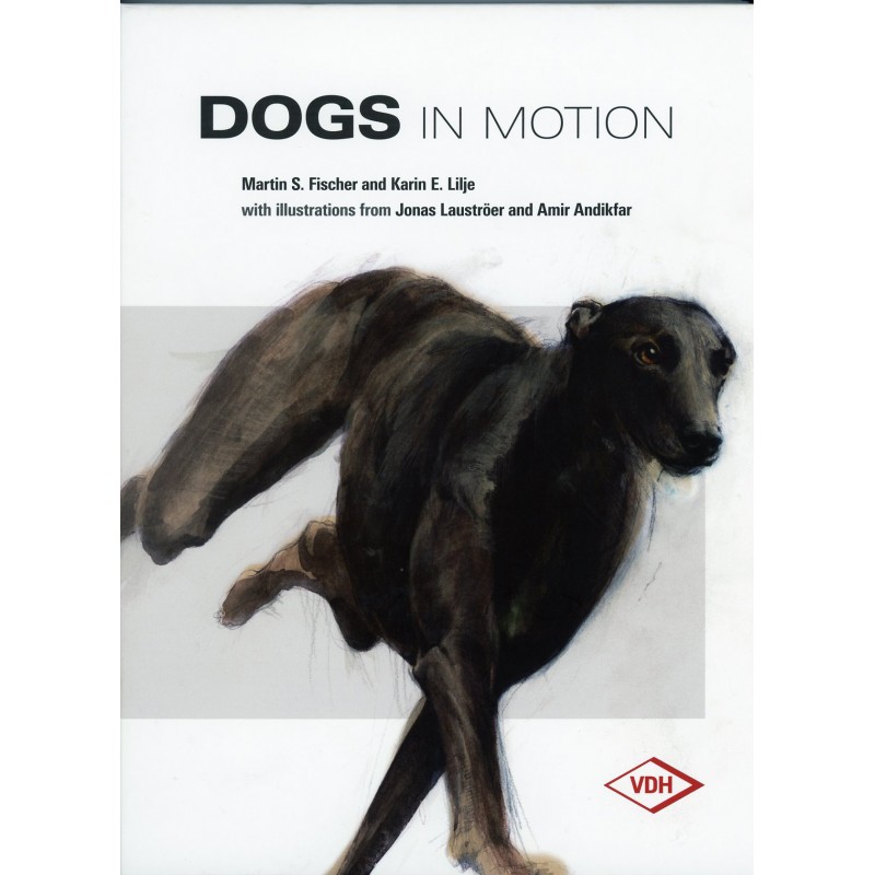 Dogs in Motion