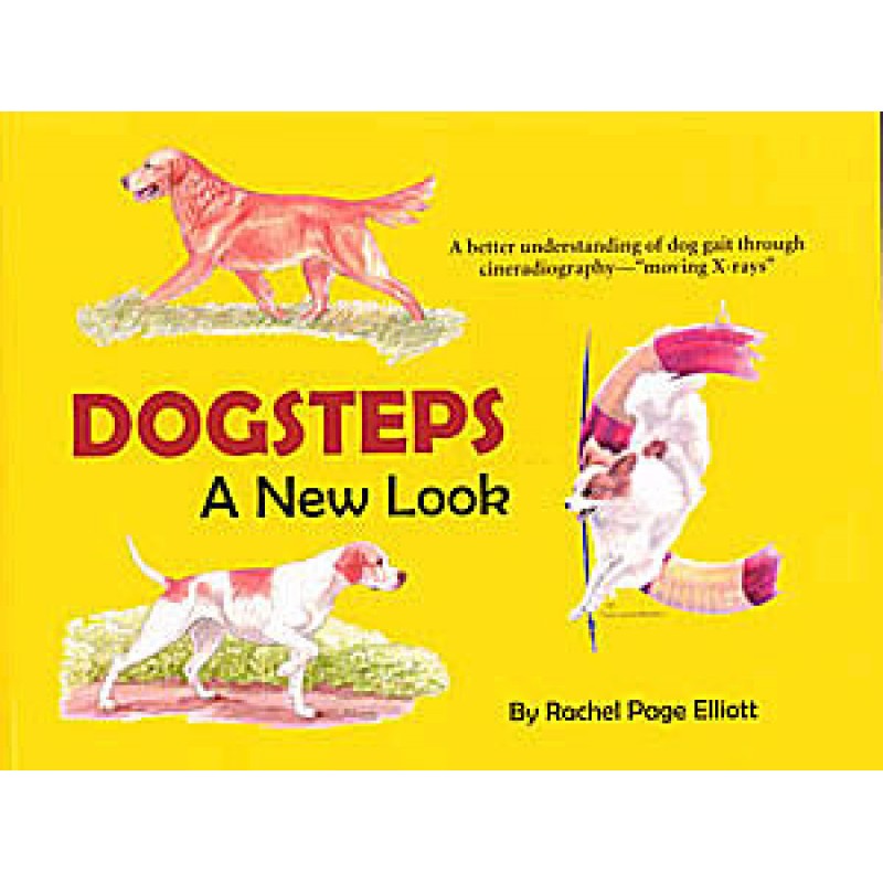 dogsteps a new look