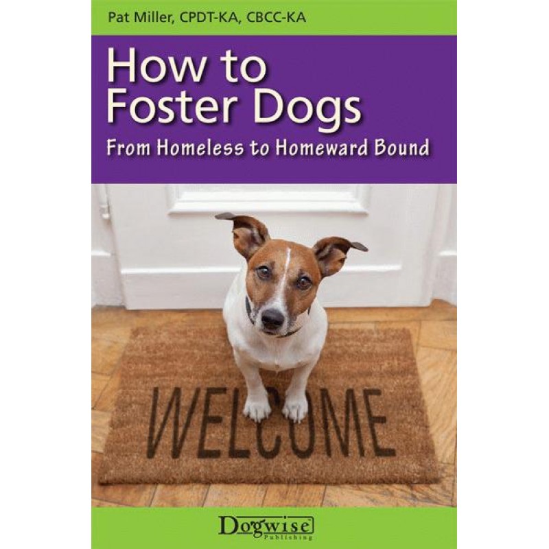 how to foster dogs