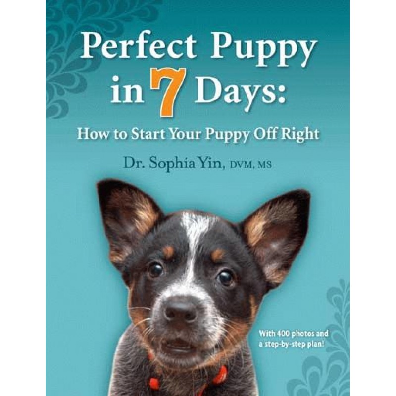 Perfect Puppy in 7 Days Performance Dog