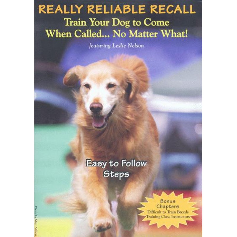 really reliable recall dvd