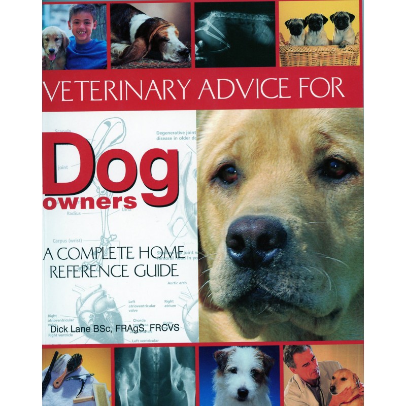 veterinary advice for dog owners