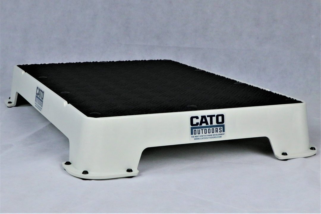 Cato Board  Do More With Your Dog!