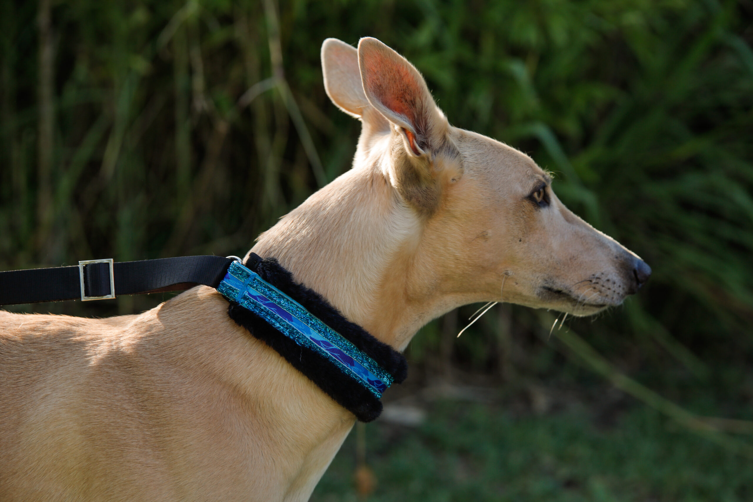 Running Dogs Glitter Slip Lead - Image 11