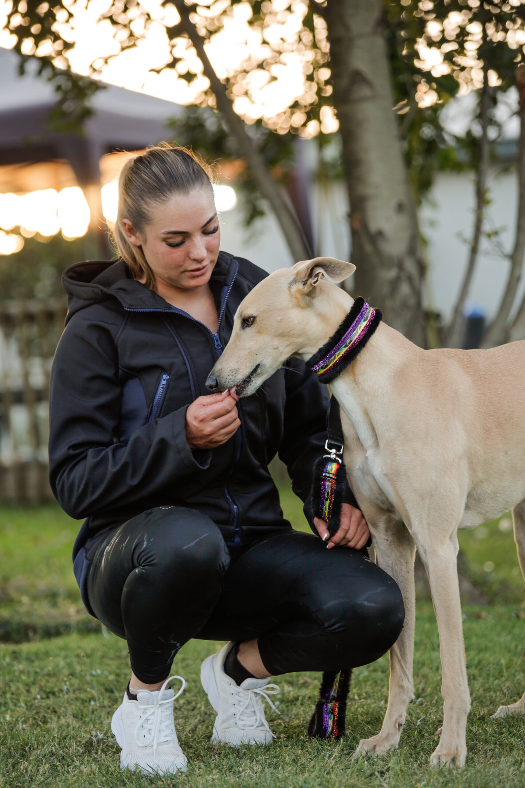 Running Dogs Glitter Slip Lead - Image 8